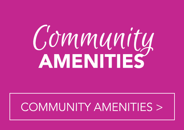 planned community amenities